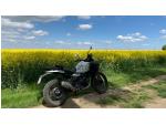 Klikněte pro detailní foto č. 5 - Royal Enfield Himalayan 450