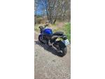 Klikněte pro detailní foto č. 4 - Honda CB 600 F Hornet