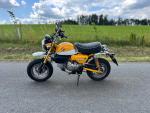 Klikněte pro detailní foto č. 3 - Honda Monkey