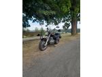 Klikněte pro detailní foto č. 1 - Suzuki GZ 250 Marauder
