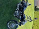 Detail nabídky - Yamaha XV 250 Virago