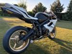 Klikněte pro detailní foto č. 7 - Triumph Daytona 675 R