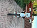 Klikněte pro detailní foto č. 10 - KTM 350 EXC-F SIX DAYS