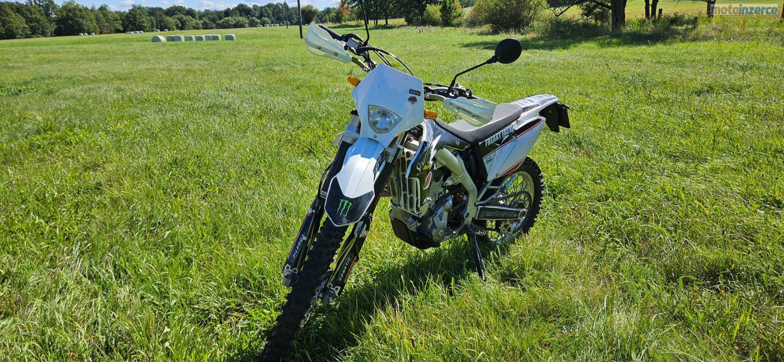 Suzuki RMX 450