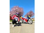 Klikněte pro detailní foto č. 9 - Honda VFR 400 R