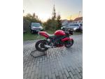 Klikněte pro detailní foto č. 2 - Triumph Speed Triple