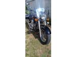 Klikněte pro detailní foto č. 10 - Kawasaki Vulcan 900 Classic