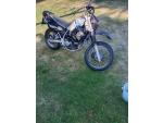 Klikněte pro detailní foto č. 1 - Kawasaki KLR 650