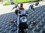 Klikněte pro detailní foto č. 5 - Suzuki VS 800 GL Intruder