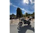 Klikněte pro detailní foto č. 2 - Triumph Tiger 900 Rally