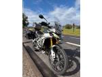 Klikněte pro detailní foto č. 3 - Triumph Tiger 900 Rally