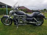 Klikněte pro detailní foto č. 2 - Harley-Davidson VRSCA V-Rod