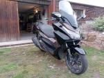 Klikněte pro detailní foto č. 4 - Honda Forza 125