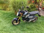 Klikněte pro detailní foto č. 1 - Honda MSX 125