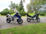 Klikněte pro detailní foto č. 7 - Suzuki GSF 1250 S Bandit