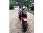 Klikněte pro detailní foto č. 1 - Honda CB 600 F Hornet