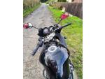Klikněte pro detailní foto č. 9 - Suzuki GSF 650 S Bandit