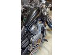 Klikněte pro detailní foto č. 6 - Suzuki VS 800 GL Intruder