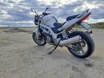 Klikněte pro detailní foto č. 4 - Suzuki SV 1000