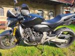 Klikněte pro detailní foto č. 1 - Honda CB 600 F Hornet