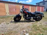 Klikněte pro detailní foto č. 14 - Harley-Davidson FXDF Dyna Fat Bob
