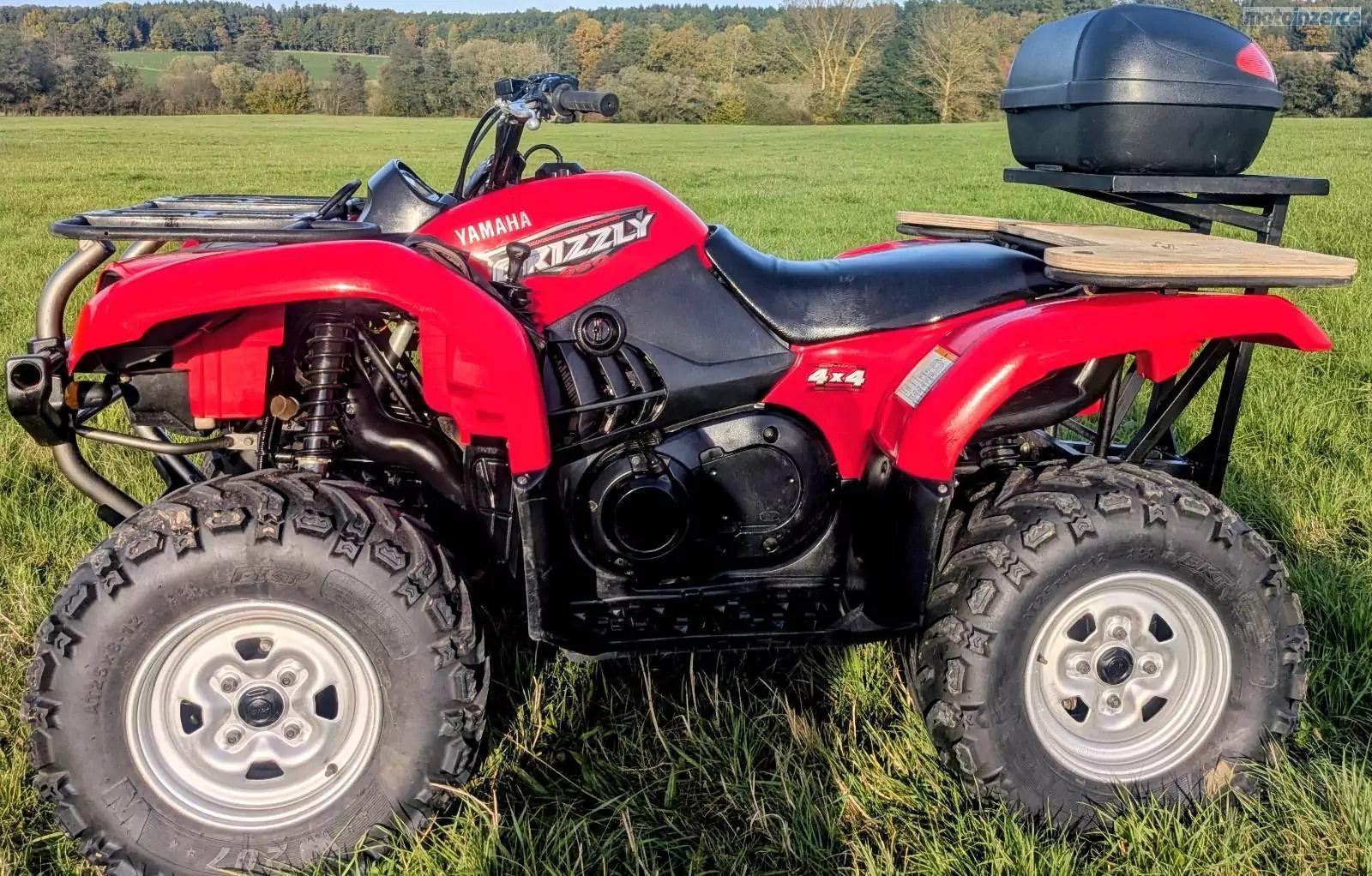 Yamaha Grizzly 660 FWA