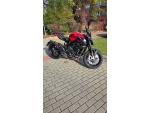 Klikněte pro detailní foto č. 2 - MV Agusta Brutale 800