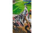 Klikněte pro detailní foto č. 8 - Yamaha YZ 250 F