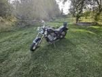 Klikněte pro detailní foto č. 9 - Honda VT 600 C Shadow