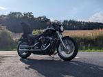 Klikněte pro detailní foto č. 2 - Harley-Davidson FXST Softail Standard