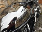 Klikněte pro detailní foto č. 6 - Harley-Davidson VRSCA V-Rod