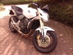 Klikněte pro detailní foto č. 2 - Honda CB 600 F Hornet