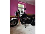 Klikněte pro detailní foto č. 2 - Triumph Bonneville T 120