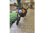 Klikněte pro detailní foto č. 2 - Ducati Scrambler 1100 Tribute Pro
