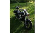 Klikněte pro detailní foto č. 13 - Suzuki Intruder M 800