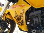 Klikněte pro detailní foto č. 8 - Honda CB 600 F Hornet