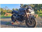 Klikněte pro detailní foto č. 8 - Triumph Speed Triple