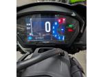 Klikněte pro detailní foto č. 20 - Triumph Speed Triple R