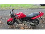 Klikněte pro detailní foto č. 5 - Honda CB 600 F Hornet