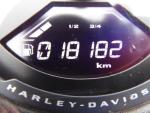 Klikněte pro detailní foto č. 9 - Harley-Davidson FXLRS Low Rider S