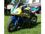 Klikněte pro detailní foto č. 9 - Honda CBR 1000 RR Fireblade