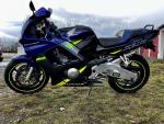 Klikněte pro detailní foto č. 5 - Honda CBR 600 F