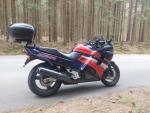 Klikněte pro detailní foto č. 4 - Honda CBR 1000 F