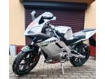 Klikněte pro detailní foto č. 3 - Derbi GPR 125 Racing