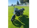 Klikněte pro detailní foto č. 1 - Honda CB 600 F Hornet