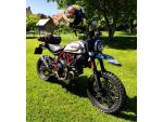 Klikněte pro detailní foto č. 10 - Ducati Scrambler Desert Sled