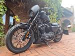 Klikněte pro detailní foto č. 2 - Harley-Davidson Sportster 883