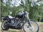 Klikněte pro detailní foto č. 1 - Harley-Davidson FXST Softail Standard