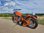 Klikněte pro detailní foto č. 2 - Harley-Davidson Cusom S&S motor hardtile
