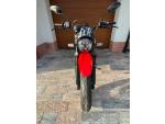 Klikněte pro detailní foto č. 2 - Ducati Scrambler Urban Motard
